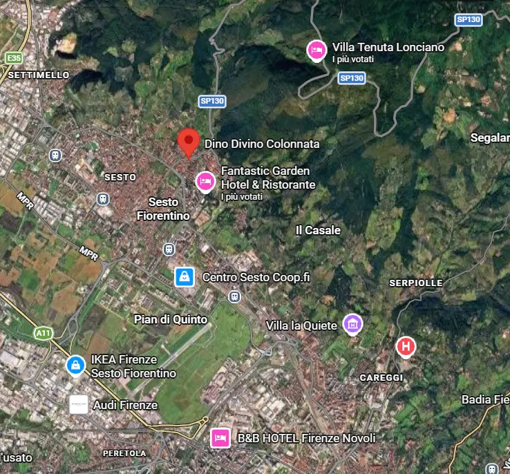 Mappa di Google Maps con la posizione di Dino Divino in Via Ginori 21, Sesto Fiorentino